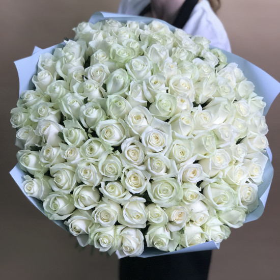 Розы Букет из 101 белой розы (70 см)