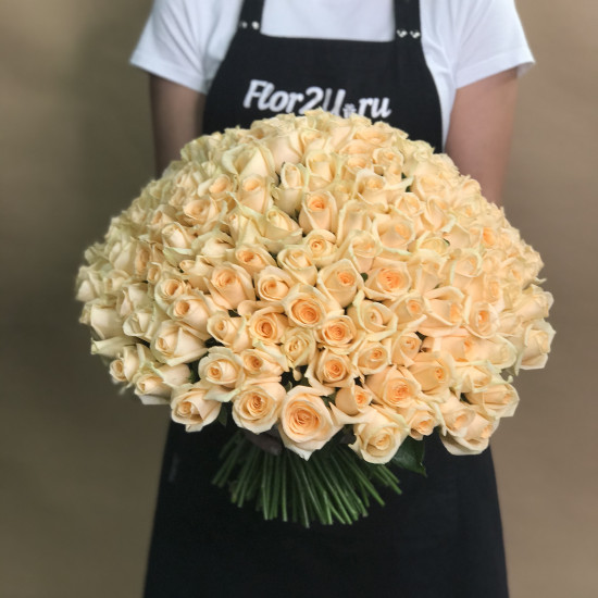 Букеты из роз Букет из 201 розы (40 см)